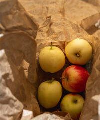 Green and red apples placed in a environment friendly paper bag