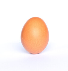 single chicken egg on white background