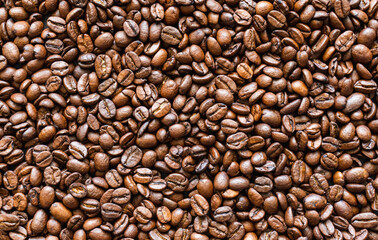 coffee beans roasted Brown background