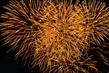 yellow fireworks fireworks in the dark evening sky