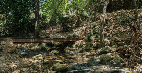 Nahal Amud (Amud Stream) in Nahal Amud Nature Reserve, the most beautiful all-year stream in Upper Galilee, Northern Israel, Israel.