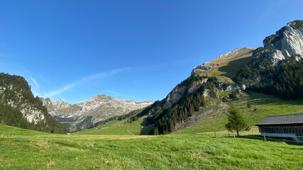 Schweiz Wildhauser Schafberg 