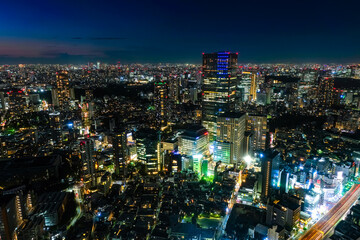 Fototapeta na wymiar 六本木ヒルズから眺める東京の夜景