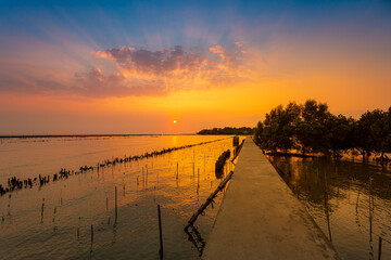 Natural background of route amidst the sea and the mangrove forest and beautiful nature during sunrise ,sunset. Beautiful landscape of Thailand