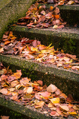 stairs in a park covered with leaves in autumn in Spain