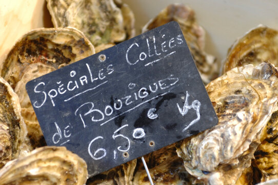&eacute;tang de thau s&egrave;te bouzigues m&egrave;ze