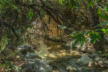 Naklejka na ściany i meble Nahal Amud (Amud Stream) in Nahal Amud Nature Reserve, the most beautiful stream in Upper Galilee, Northern Israel, Israel.