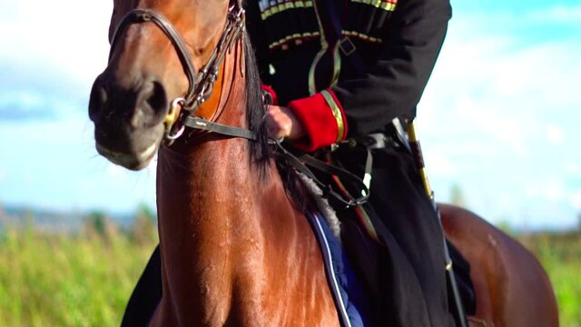 Cossack on a horse in a traditional costume