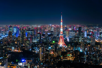 Fototapeta na wymiar 六本木ヒルズから眺める東京の夜景