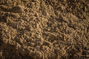 Background of scattered sand gravel