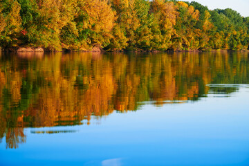 bright colorful autumn forest landscape, trees near river and blue sky