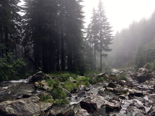 El río Balea junto a la famosa carretera de Transfagarasan en Rumanía, en un frío y lluvioso día. El agua discurriendo por el bosque entre escarpadas rocas y una densa vegetación.
