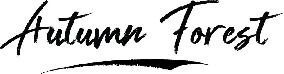 Typography Black Color Text 
on White Background