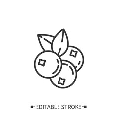 Blueberries line icon. Superfood. Organic healthy energetic food for balanced nutrition. Detox and weight loss supplements. Vegetarian food. Isolated vector illustration. Editable stroke. 