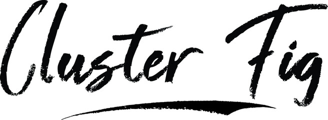 Cluster Fig Brush Calligraphy Handwritten Typography Text on
White Background