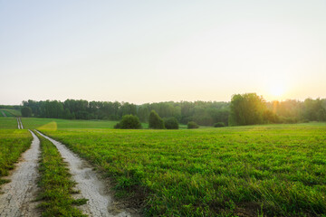 Road through green summer field. Summer landscape.