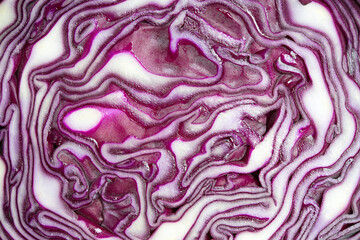 Obraz premium Close up on sliced purple salad cabbage