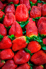 Erdbeeren auf dem Markt / Hochformat