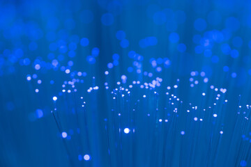 Close up on fiber optics - Shallow depth of field