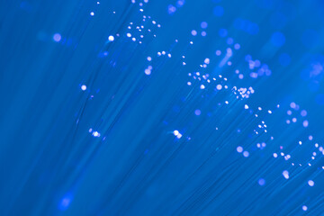 Close up on fiber optics - Shallow depth of field