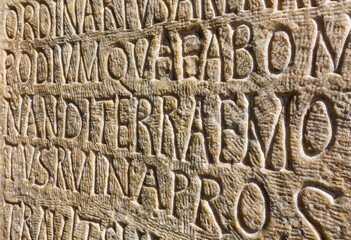 Colosseum, Rome, Italy, Europe