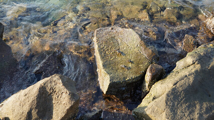 rocks in the sea