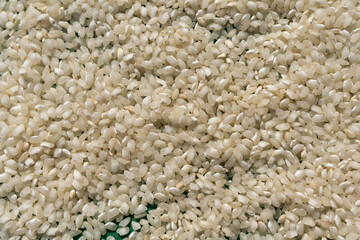 dry white rice for meals