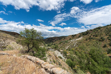 mountainous landscape with vegetation in southern Spain