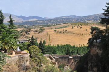 Fototapeta na wymiar Ronda, Málaga, Andalusia 