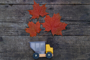 The toy car truck brought back autumn maple leaves. Top view on a wooden background. Autumn and...