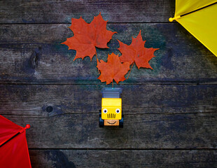 The toy car truck brought back autumn maple leaves. Top view on a wooden background. Autumn and...