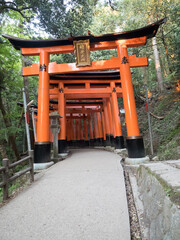 Fototapeta na wymiar Santuario Fushimi Inari, en Kioto, Japón
