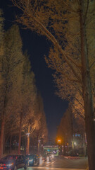 Fototapeta na wymiar Yang jae street Seoul Korea Tree , Cars and Light