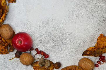 background autumn decor walnuts apples rowan branch acorns