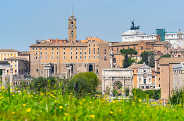 Fototapeta na wymiar Palatine Hill, Roman Forum, Rome, Italy, Europe