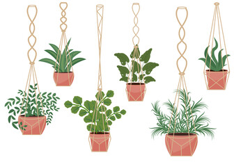 Flowers in a pot macrame pots, modern Scandinavian style, interior decor. Hanging plants set. Vector illustration