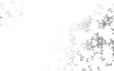 Light Gray vector natural background with branches.