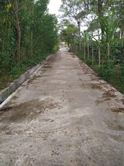 Obraz premium Old path in the forest from remote village