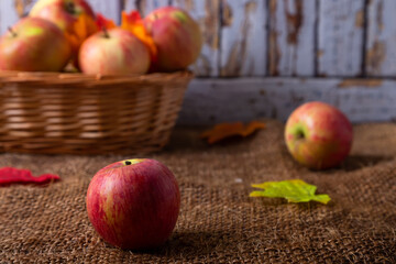 Ripe apples on burlap and in a basket. Rustic style, close-up.