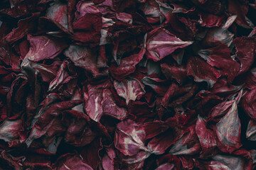 Obraz premium romantic background, peatals pattern, rose pink peatals top view . Close up , toned