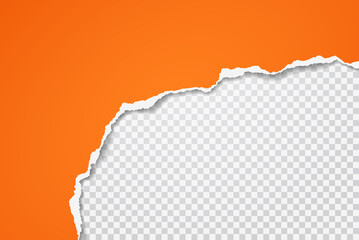 Torn of orange paper is on white transparent background for text, advertising or design. Vector illustration