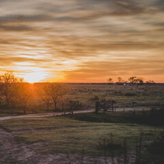 Fototapeta na wymiar Beautiful sunset in a field in Buenos Aires, Argentina.
