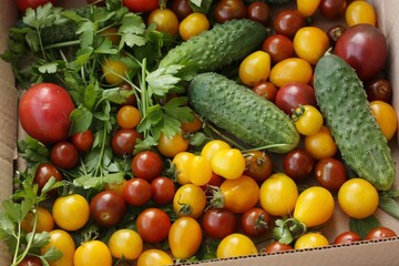 Fresh vegetables and herbs on the table