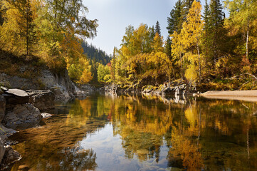 Fototapeta na wymiar Kumir River flowing through the autumn Altai Mountains.