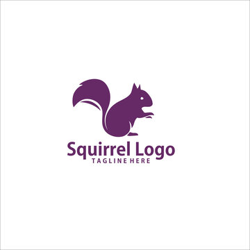 Squirrel logo icon design silhouette	