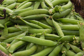 Gousses de petits pois