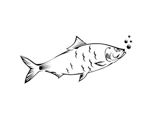 fish icon vector isolated . 
The fish is breathing, while bubbles are coming out of its mouth