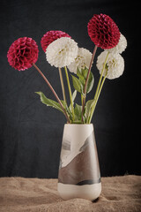 white and burgundy ball-shaped chrysanthemums in a vase on a dark background