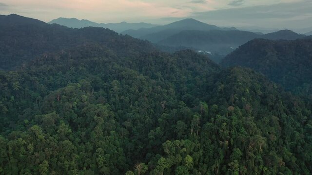 Slow backwards aerial shot of jungle landscape at dawn in Gunung Leuser National Park, the Tropical Rainforest Heritage of Sumatra, Indonesia