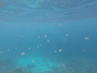DCIM\100GOPRO\GOPR7086.JPG